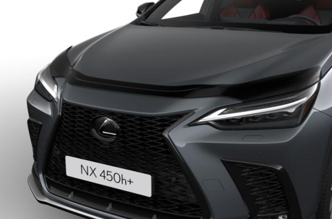 Дефлектор капота двигуна LEXUS NX22+ (21253)