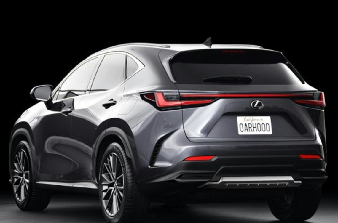 Накладка заднього бампера LEXUS NX22+ (21252)