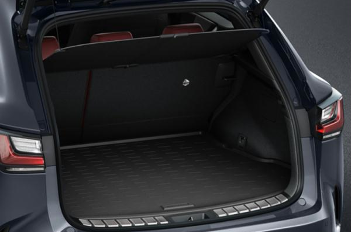 Килимок багажника гумовий, LEXUS NX22+ (21318)