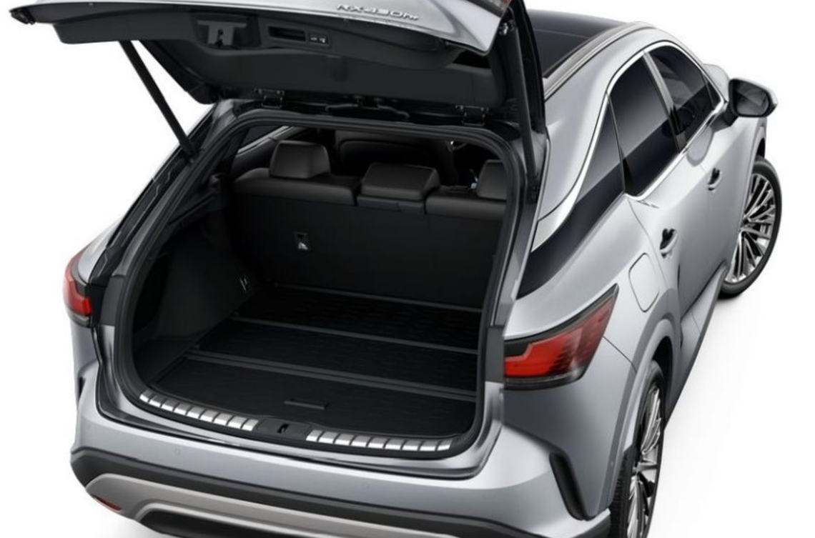 Килимок багажника гумовий LEXUS RX23+ (21070)
